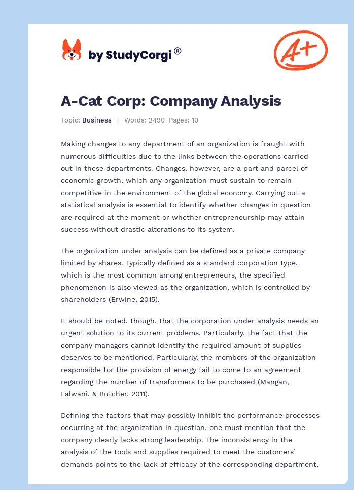 A-Cat Corp: Company Analysis. Page 1