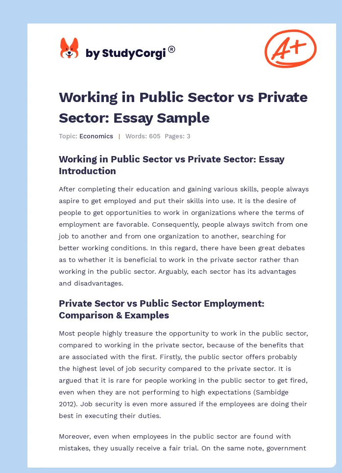 Working in Public Sector vs Private Sector: Essay Sample. Page 1