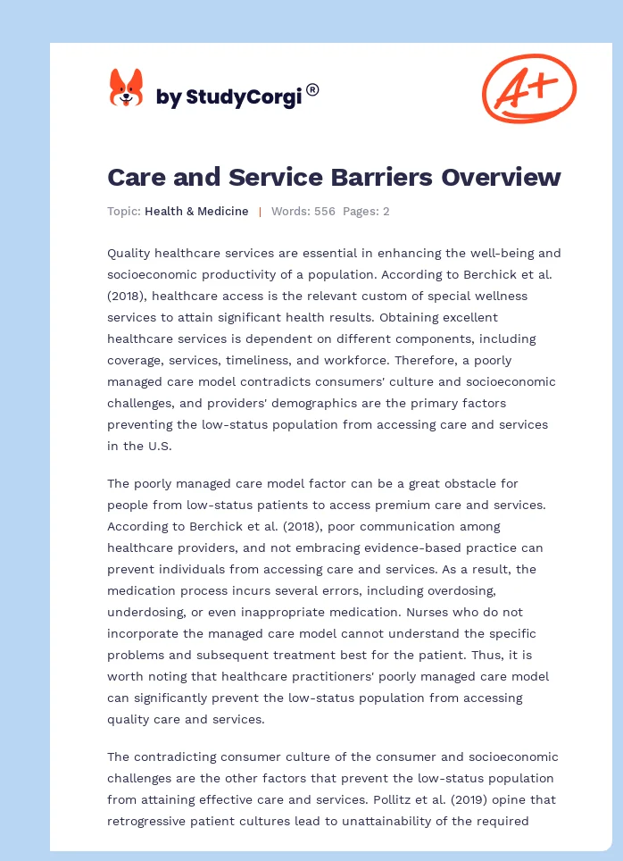 Care and Service Barriers Overview. Page 1
