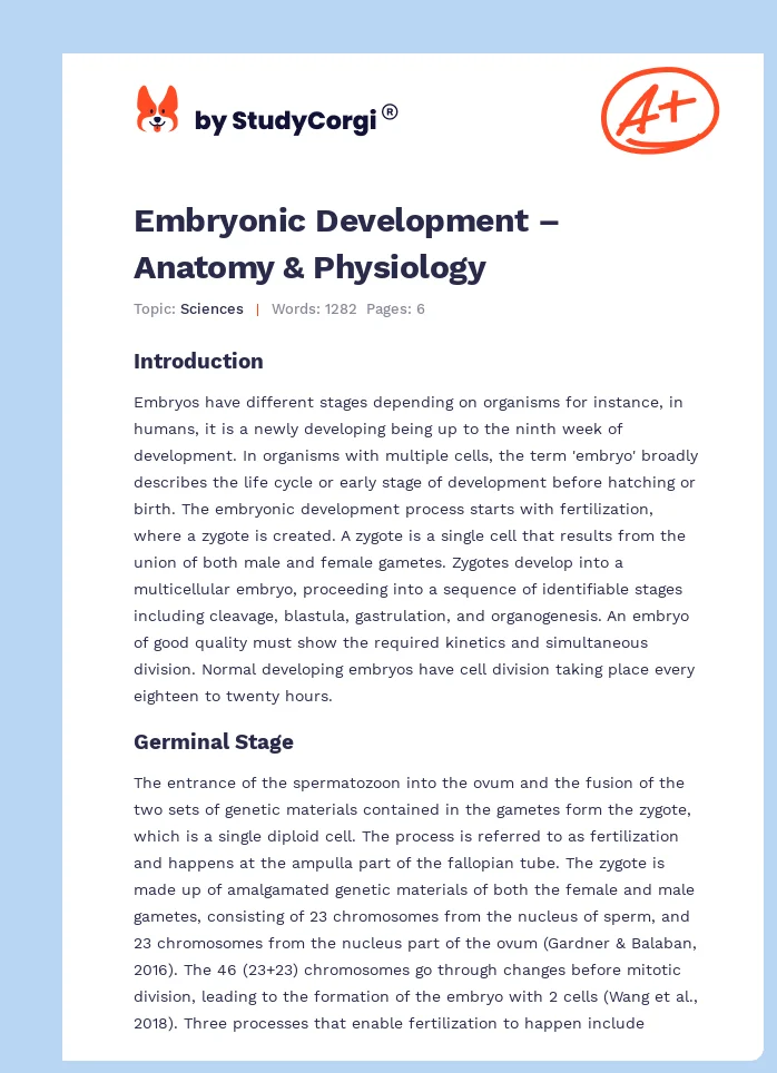 Embryonic Development – Anatomy & Physiology. Page 1