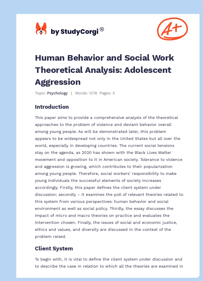 Human Behavior and Social Work Theoretical Analysis: Adolescent Aggression. Page 1