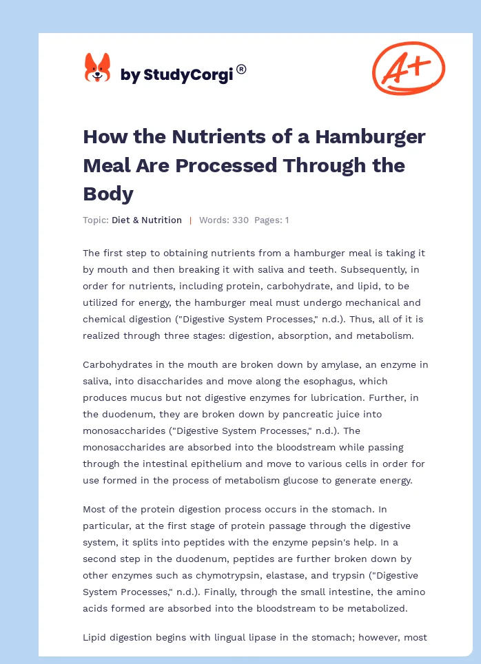 How the Nutrients of a Hamburger Meal Are Processed Through the