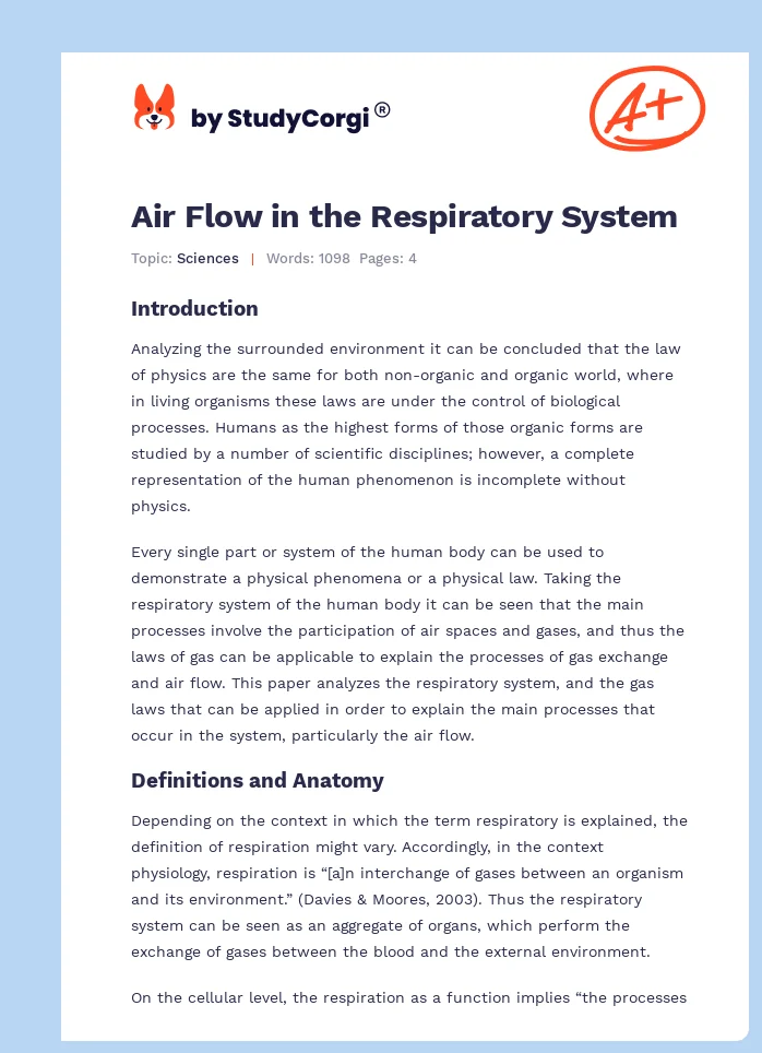 Air Flow in the Respiratory System. Page 1