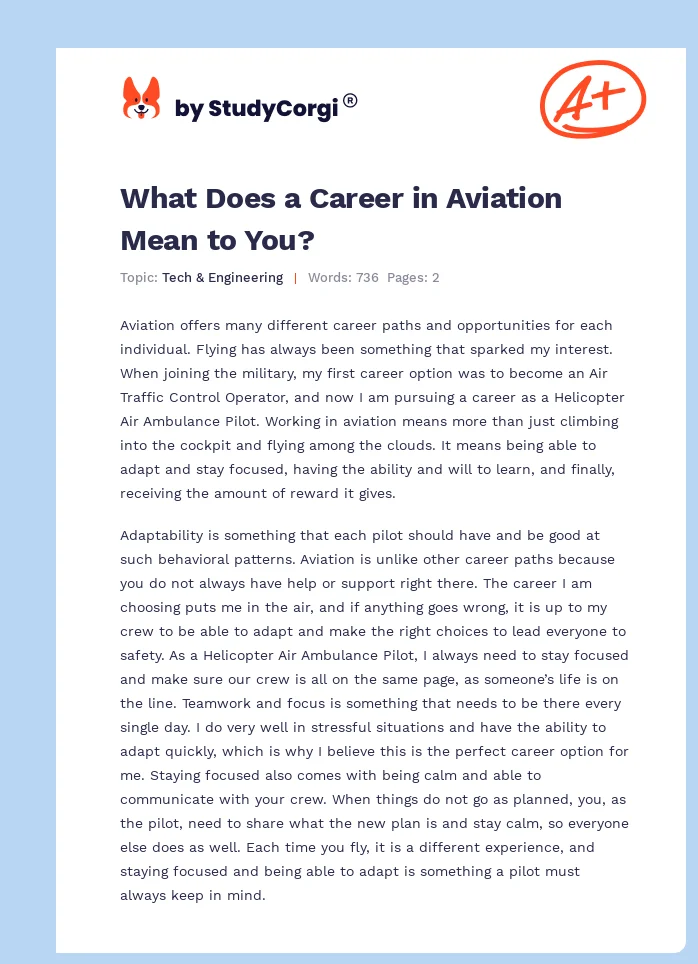 What Does a Career in Aviation Mean to You?. Page 1
