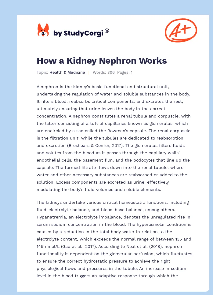 How a Kidney Nephron Works. Page 1