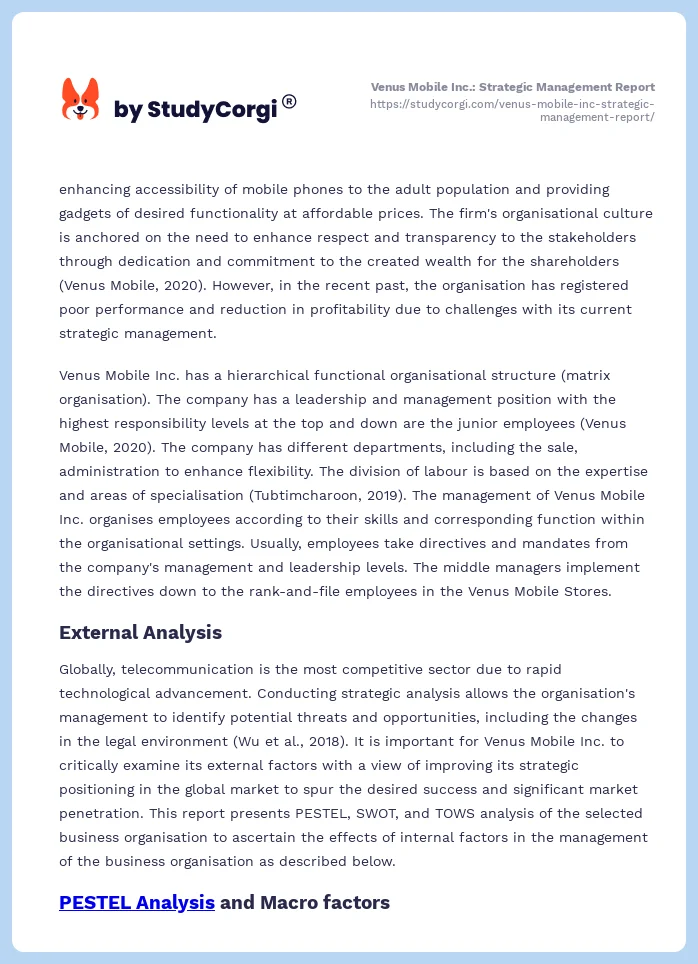 Venus Mobile Inc.: Strategic Management Report. Page 2