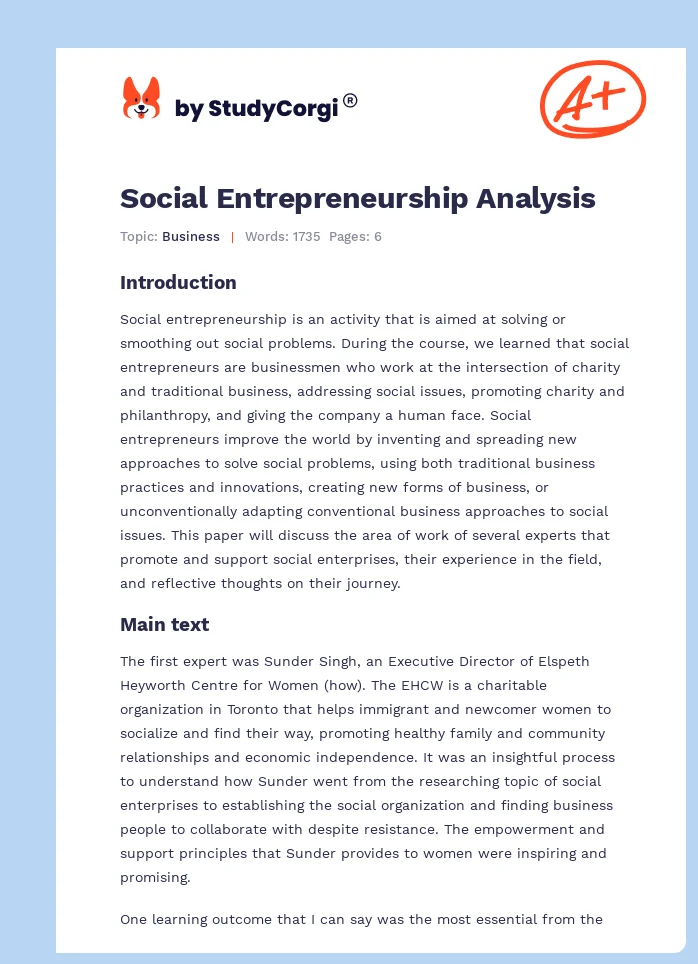 Social Entrepreneurship Analysis. Page 1
