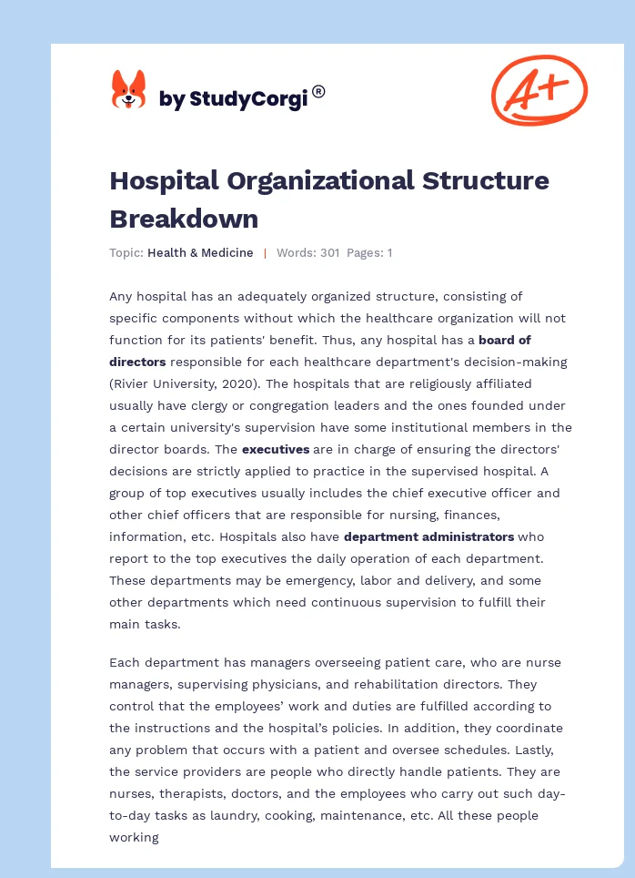 Hospital Organizational Structure Breakdown. Page 1
