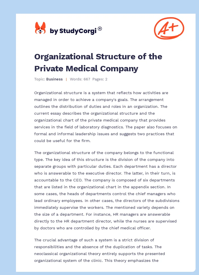 Organizational Structure of the Private Medical Company. Page 1
