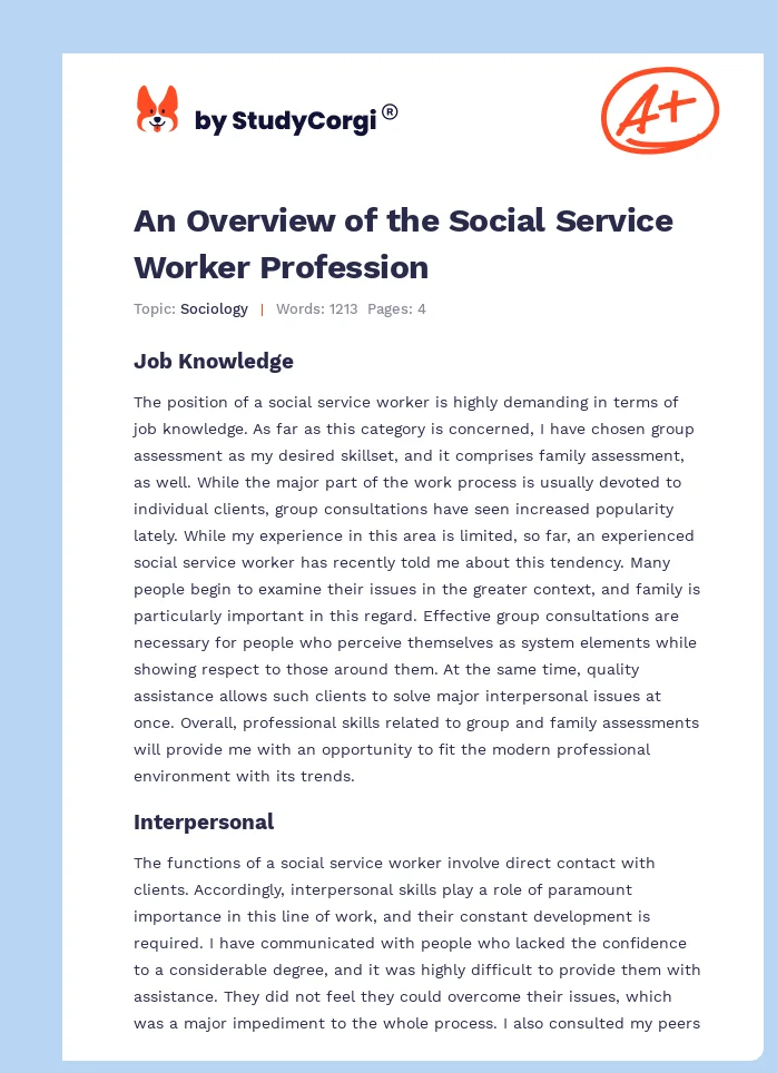 An Overview of the Social Service Worker Profession. Page 1
