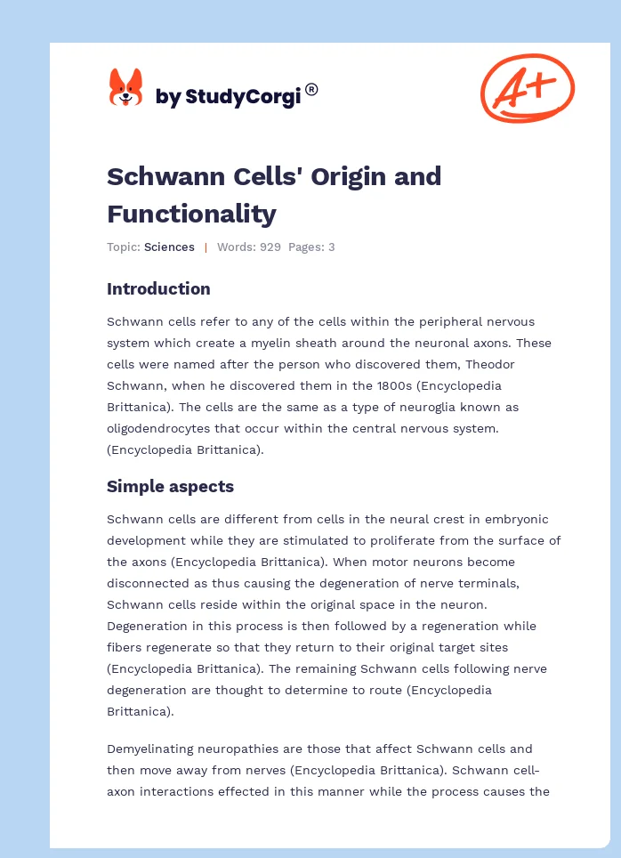Schwann Cells' Origin and Functionality. Page 1