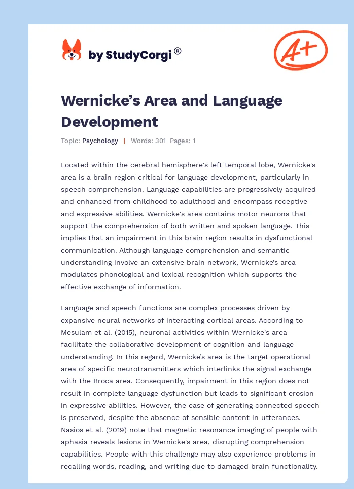 Wernicke’s Area and Language Development. Page 1