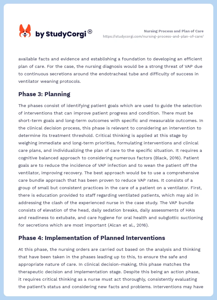 Nursing Process and Plan of Care. Page 2