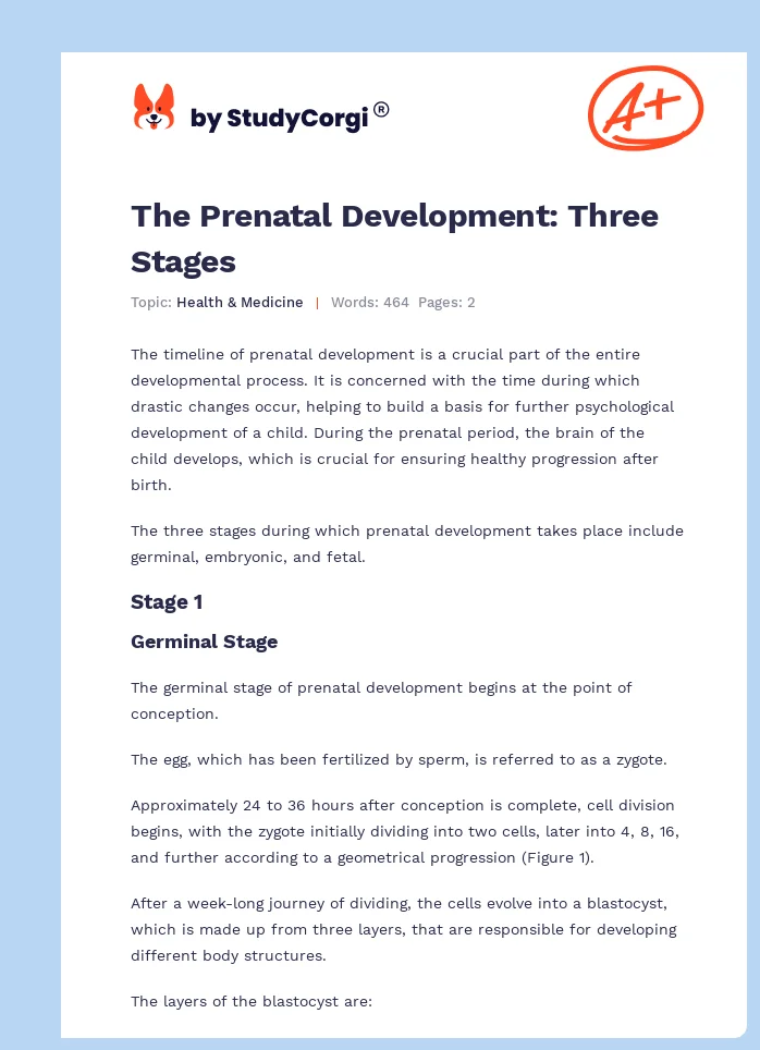 The Prenatal Development: Three Stages. Page 1