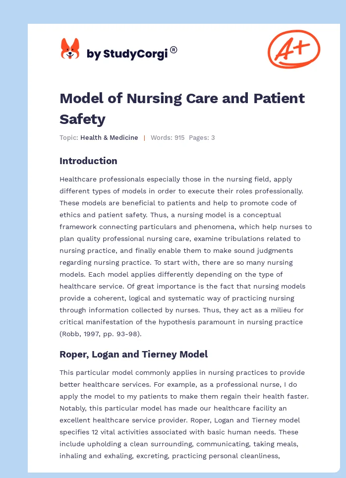 Model of Nursing Care and Patient Safety. Page 1