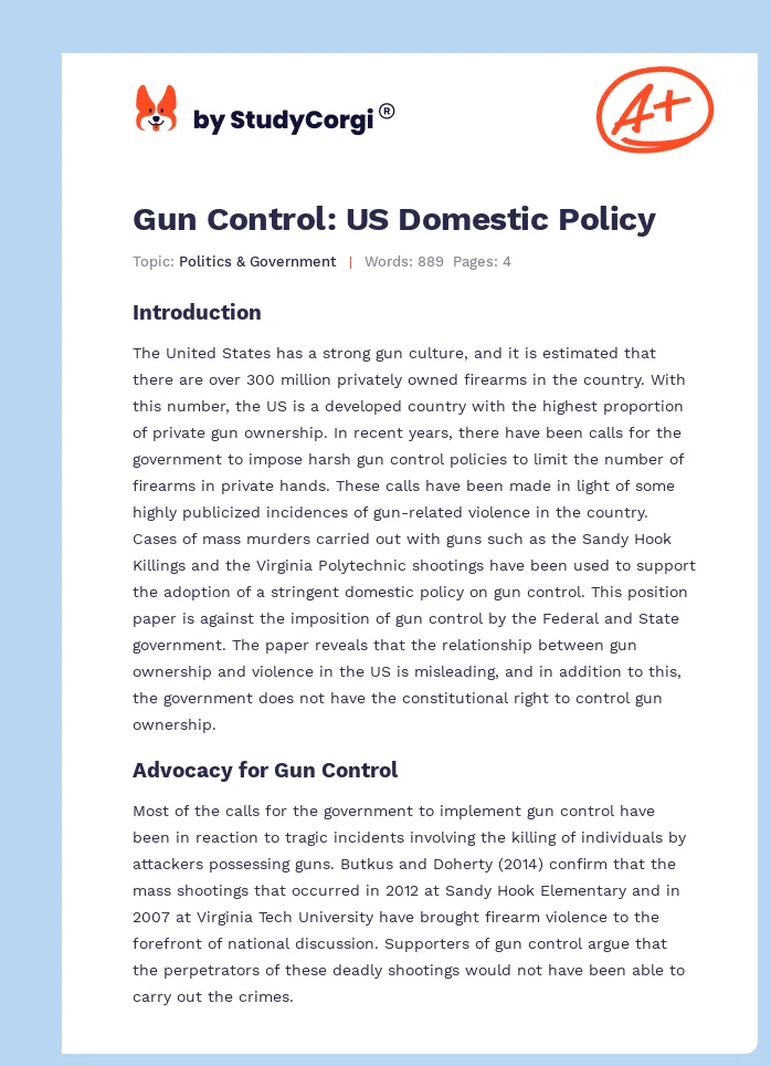 Gun Control: US Domestic Policy. Page 1