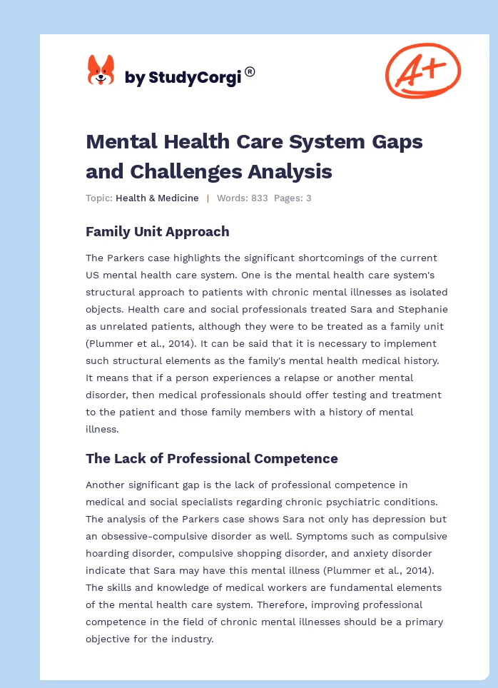 Mental Health Care System Gaps and Challenges Analysis. Page 1