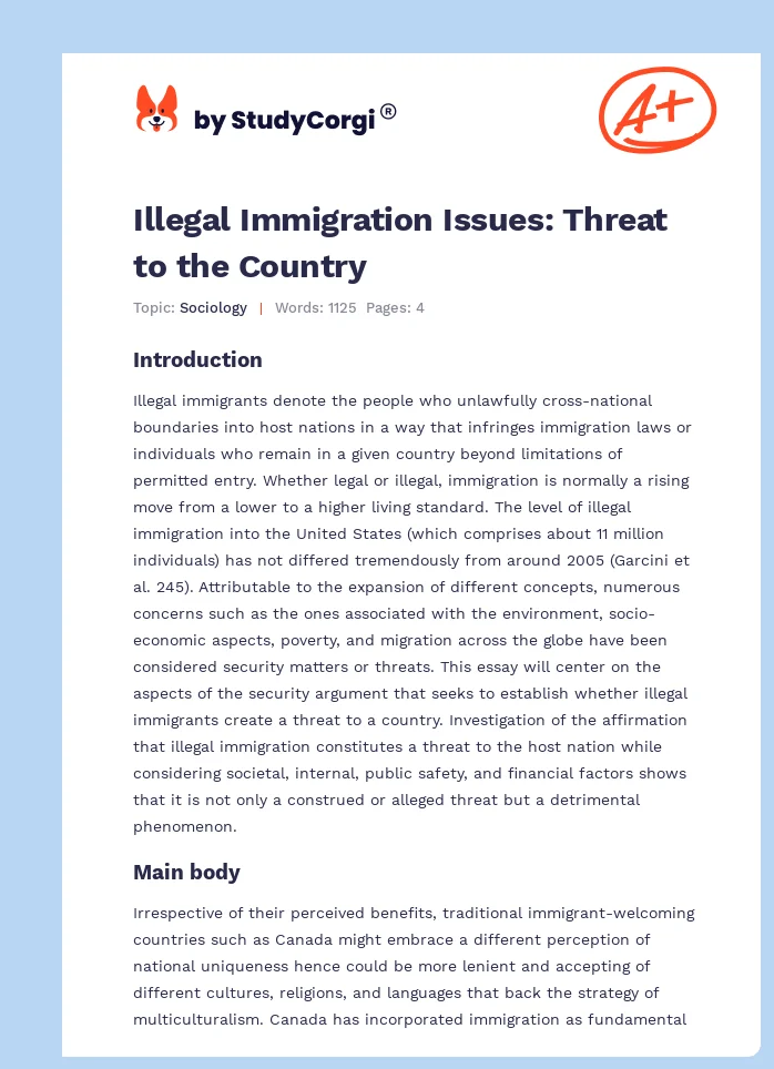 Illegal Immigration Issues: Threat to the Country. Page 1