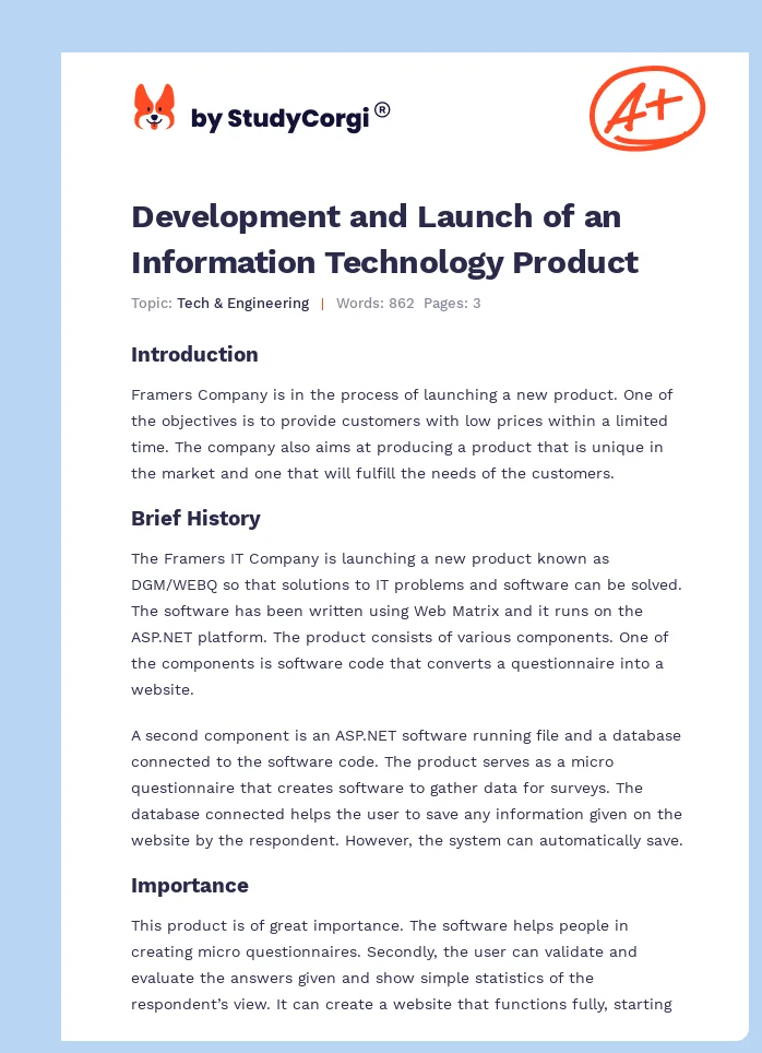 Development and Launch of an Information Technology Product. Page 1
