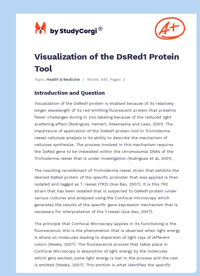 Visualization of the DsRed1 Protein Tool. Page 1