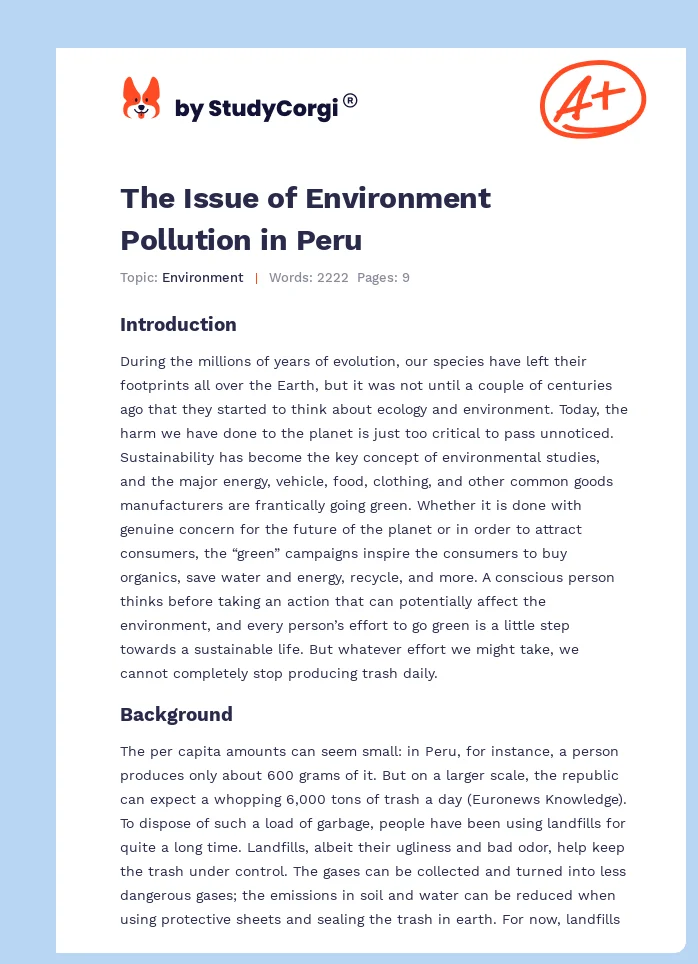 The Issue of Environment Pollution in Peru. Page 1