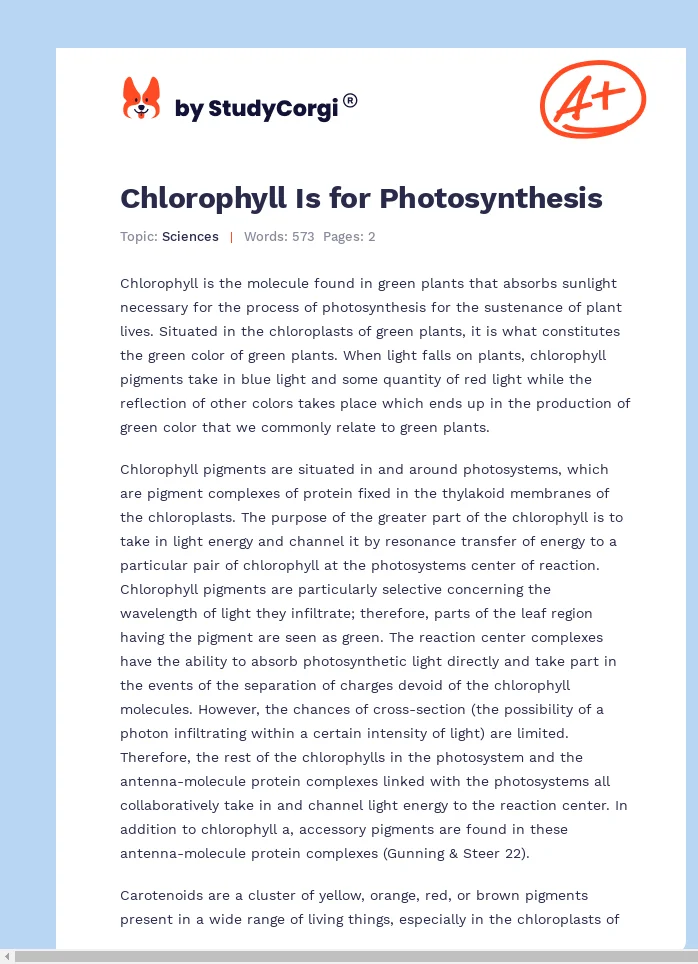 Chlorophyll Is for Photosynthesis. Page 1