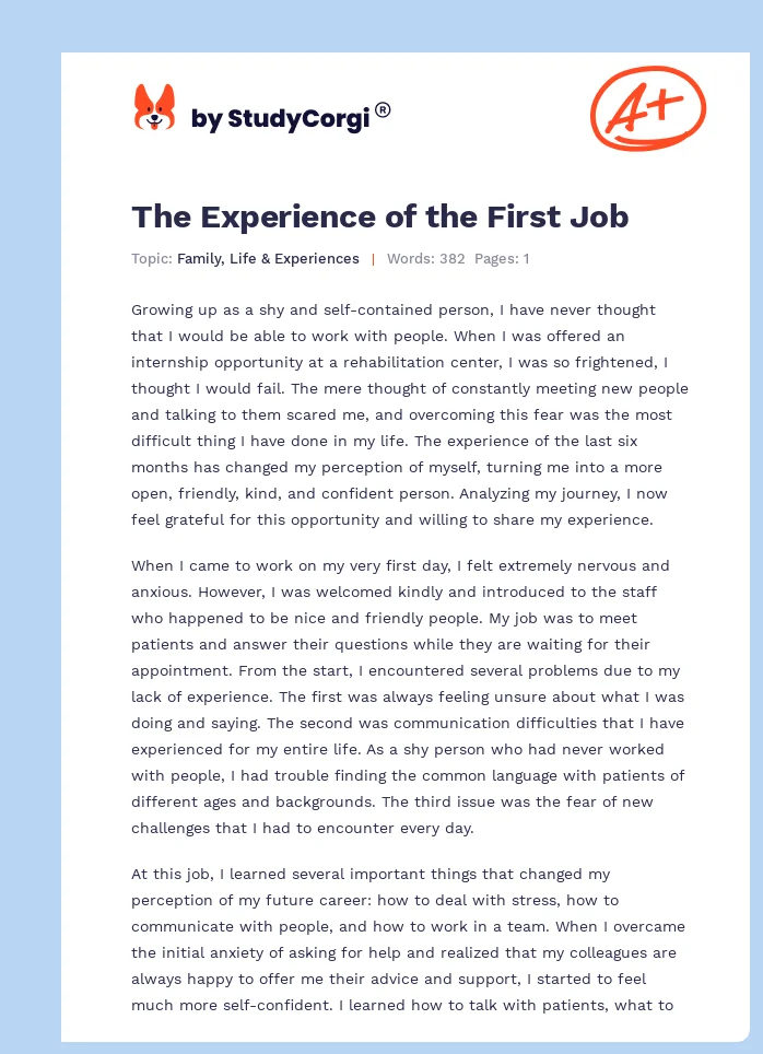 The Experience of the First Job. Page 1