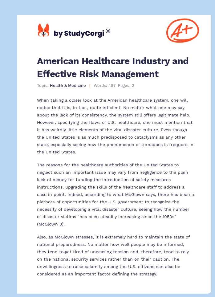 American Healthcare Industry and Effective Risk Management. Page 1