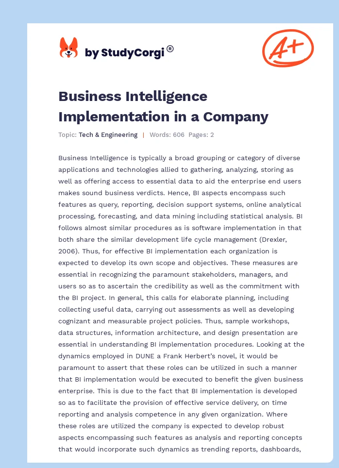 Business Intelligence Implementation in a Company. Page 1