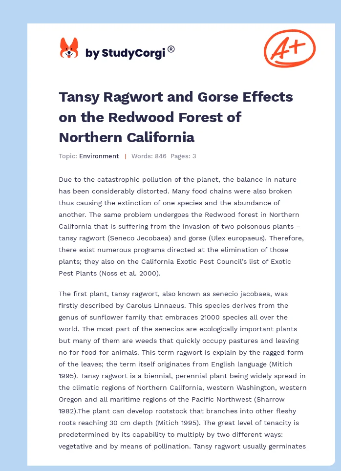 Tansy Ragwort and Gorse Effects on the Redwood Forest of Northern California. Page 1