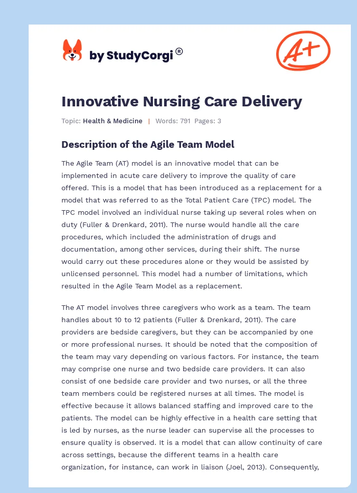 Innovative Nursing Care Delivery. Page 1