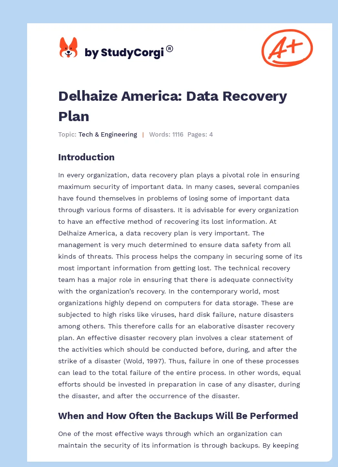 Delhaize America: Data Recovery Plan. Page 1
