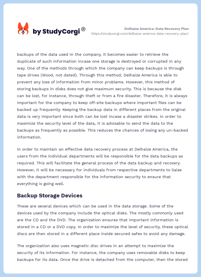 Delhaize America: Data Recovery Plan. Page 2