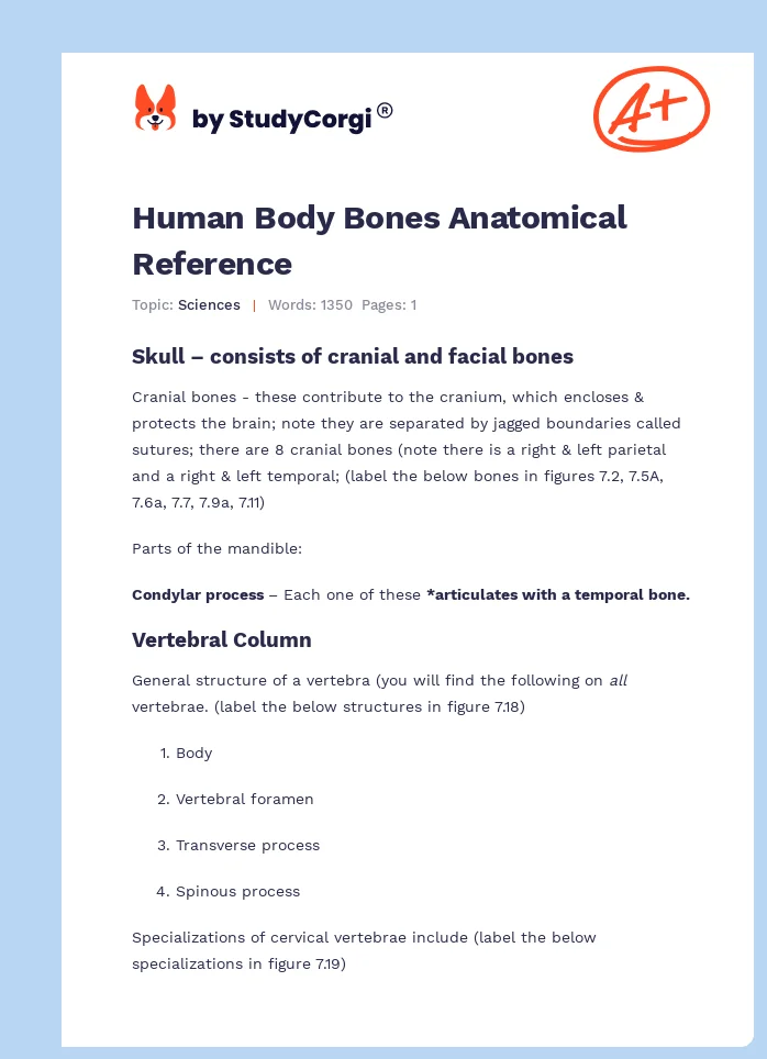 Human Body Bones Anatomical Reference. Page 1