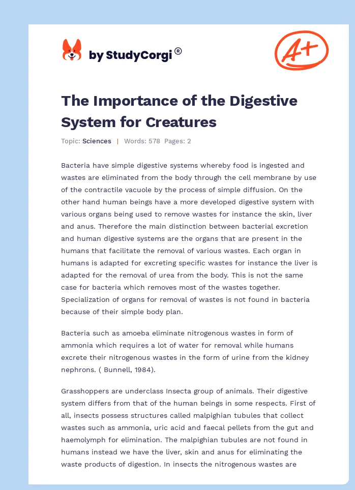 The Importance of the Digestive System for Creatures. Page 1