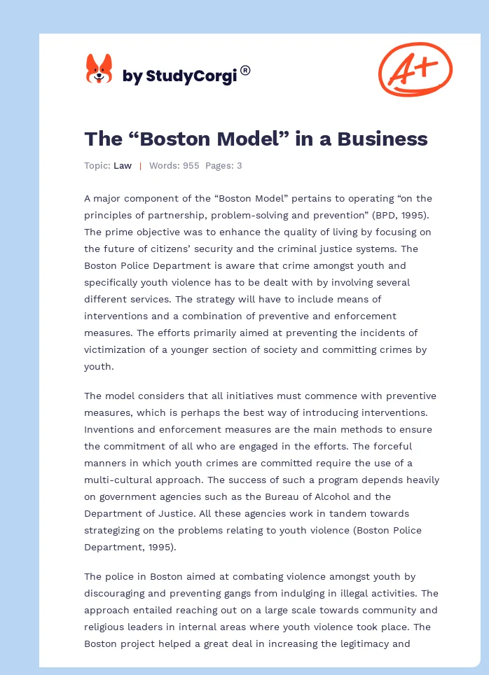 The “Boston Model” in a Business. Page 1
