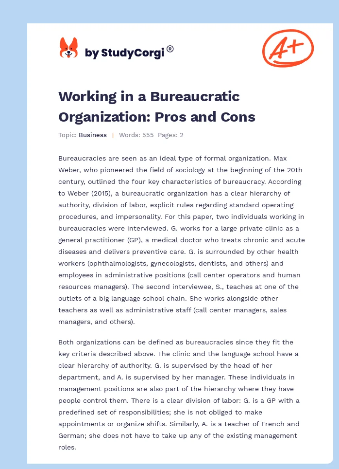 Working in a Bureaucratic Organization: Pros and Cons. Page 1
