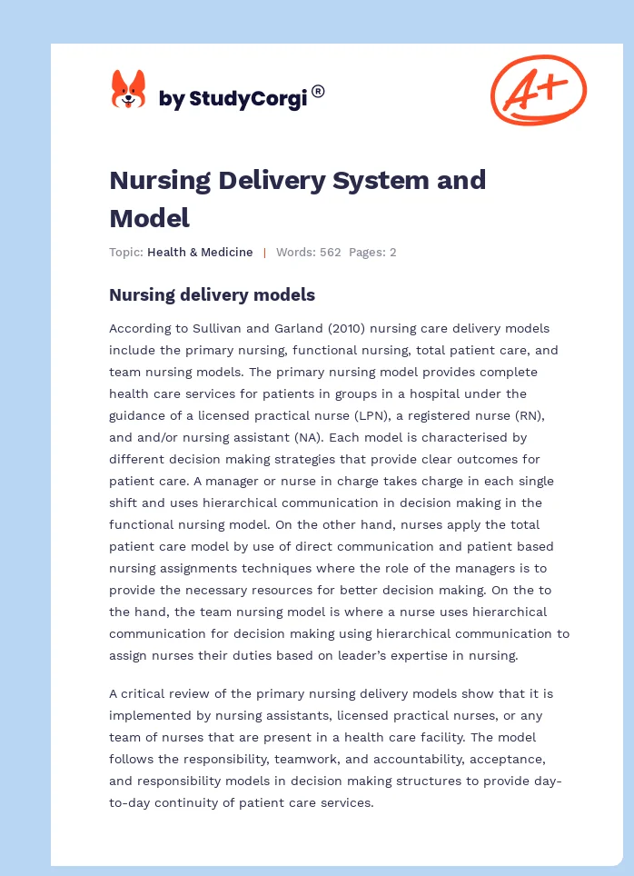 Nursing Delivery System and Model. Page 1