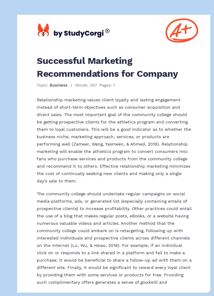 Successful Marketing Recommendations for Company. Page 1