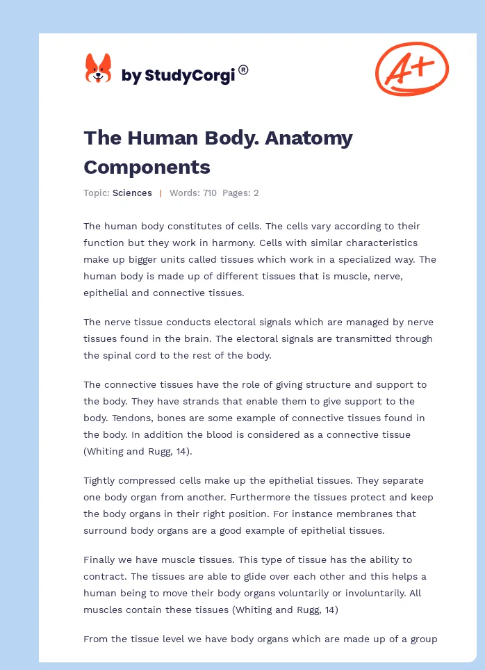 The Human Body. Anatomy Components. Page 1