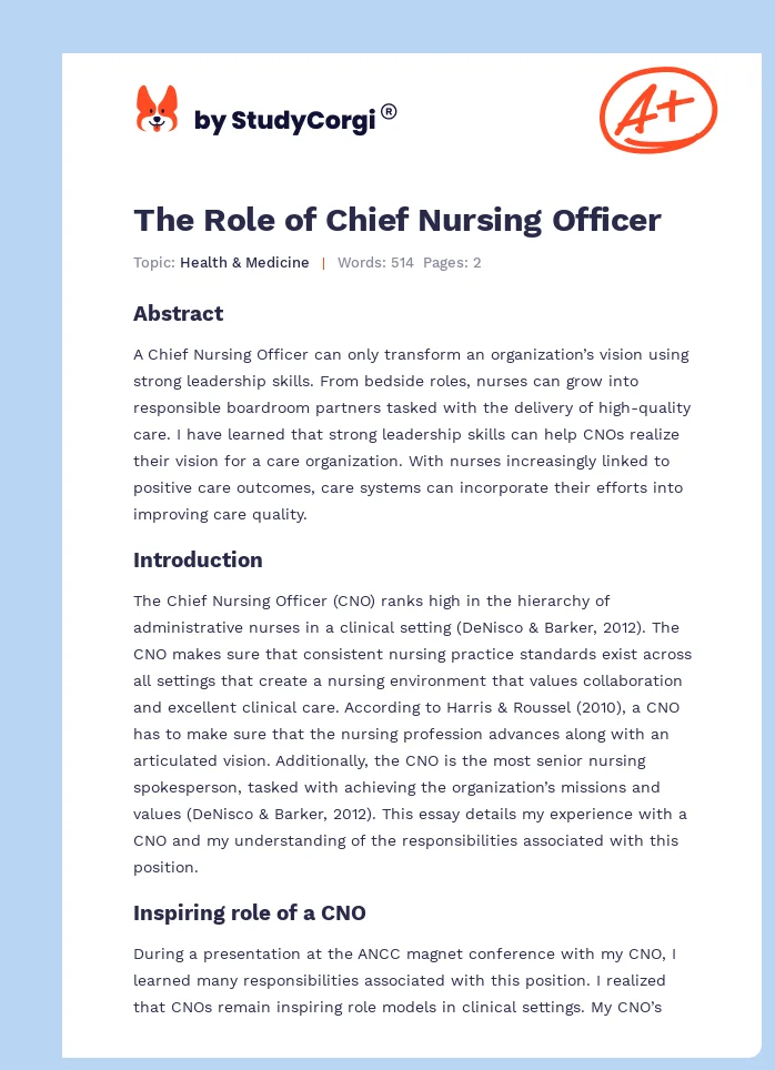The Role of Chief Nursing Officer. Page 1