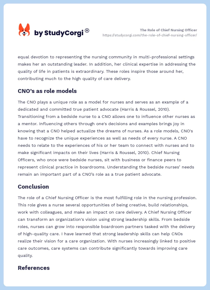 The Role of Chief Nursing Officer. Page 2