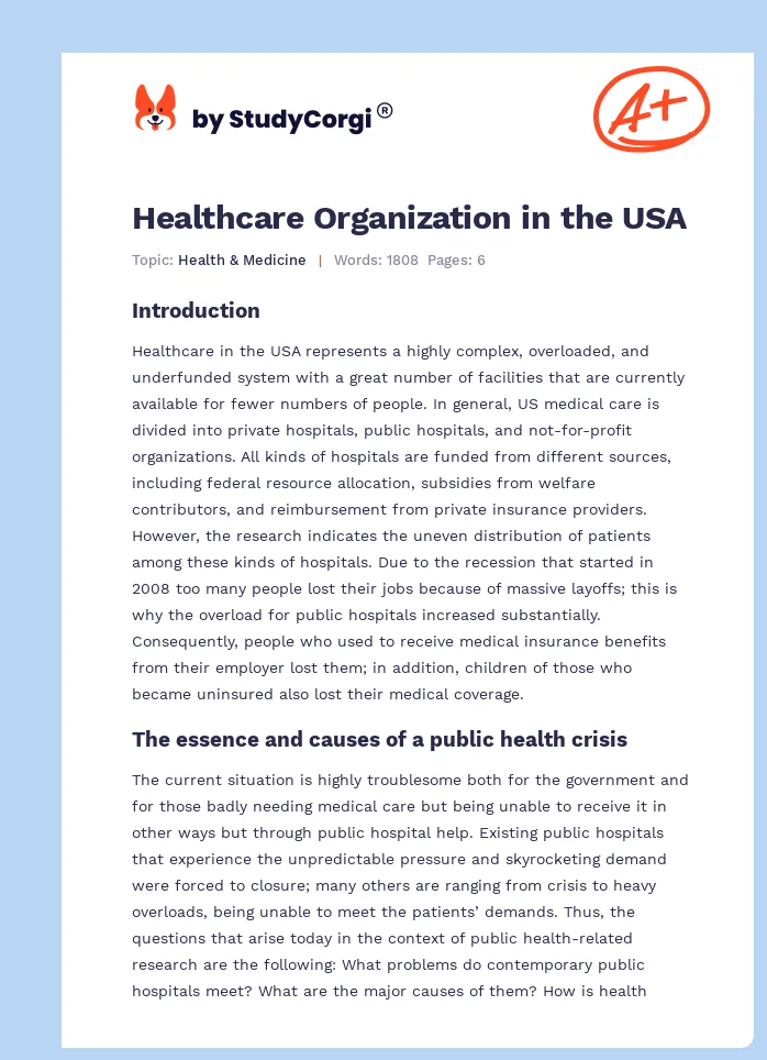 Healthcare Organization in the USA. Page 1