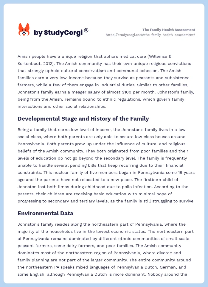 The Family Health Assessment. Page 2