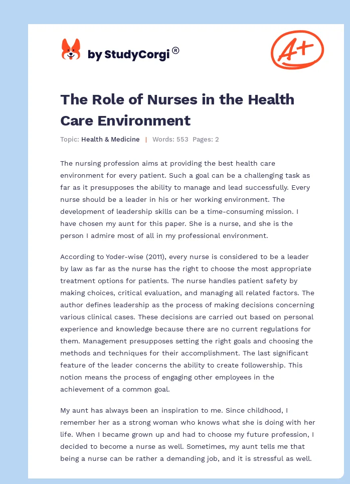 The Role of Nurses in the Health Care Environment. Page 1