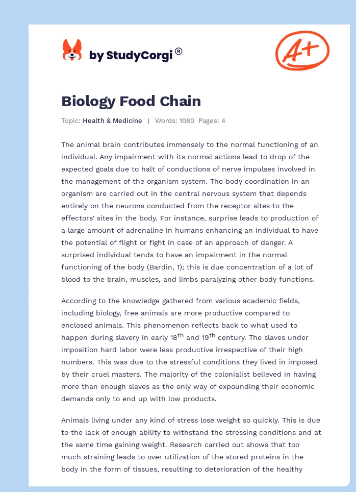 Biology Food Chain. Page 1