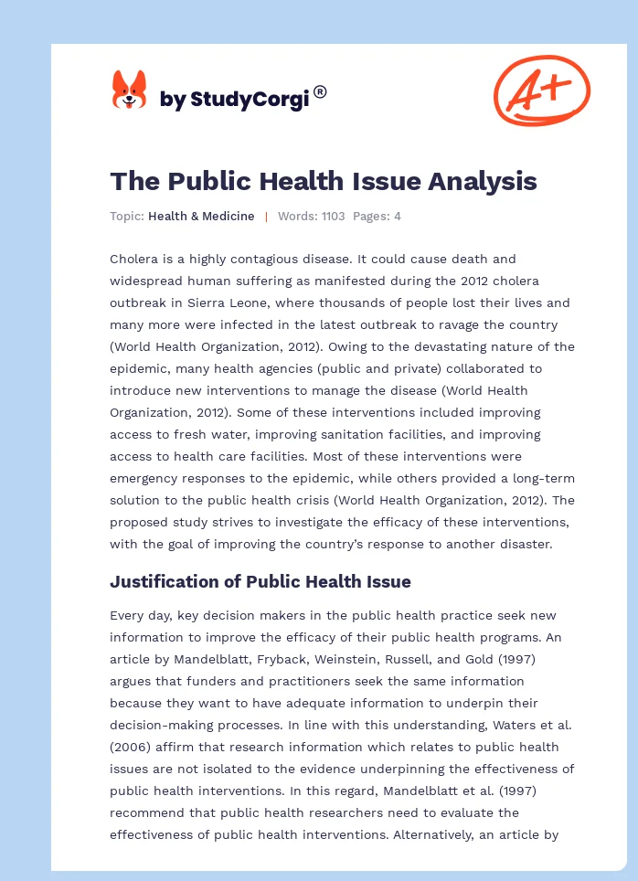 The Public Health Issue Analysis. Page 1