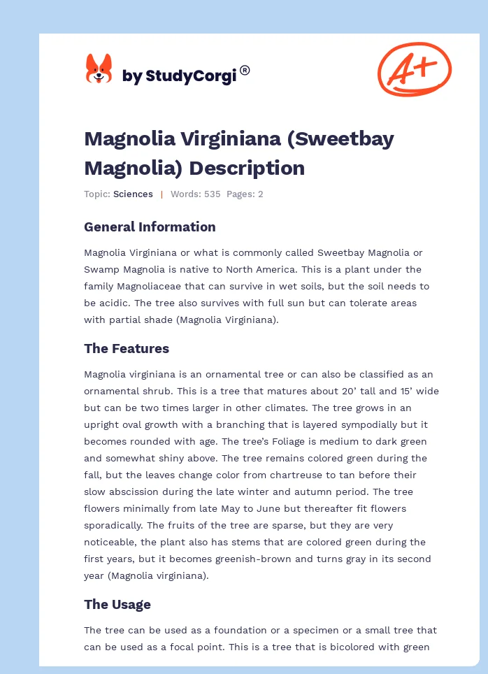 Magnolia Virginiana (Sweetbay Magnolia) Description. Page 1