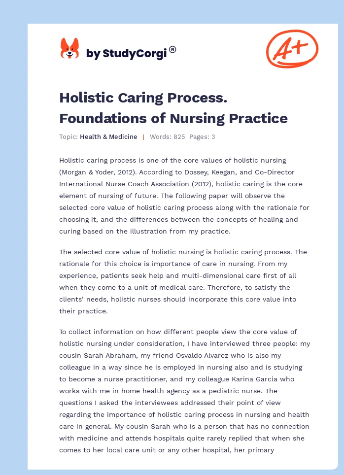Holistic Caring Process. Foundations of Nursing Practice. Page 1