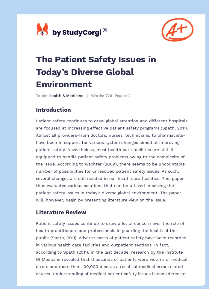 The Patient Safety Issues in Today’s Diverse Global Environment. Page 1